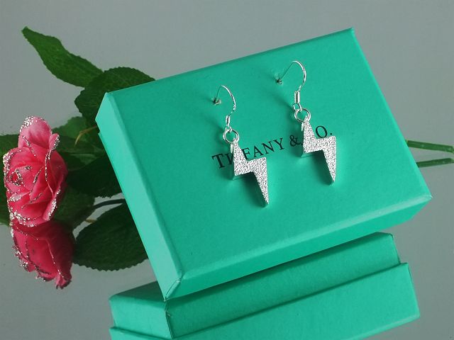 tiffany Earrings-102
